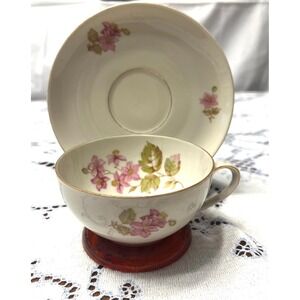 Vintage Johann Vohenstraup Bavaria tea cup set